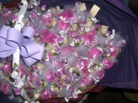 /album/galeria-de-fotos/imagem-198-jpg/